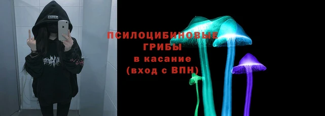 круглые Нягань