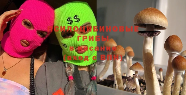 спайс Нязепетровск