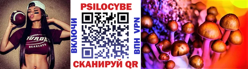 Псилоцибиновые грибы Cubensis  Калининск 